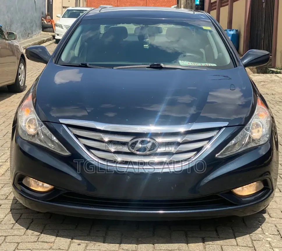 Hyundai Sonata 2011 Blue