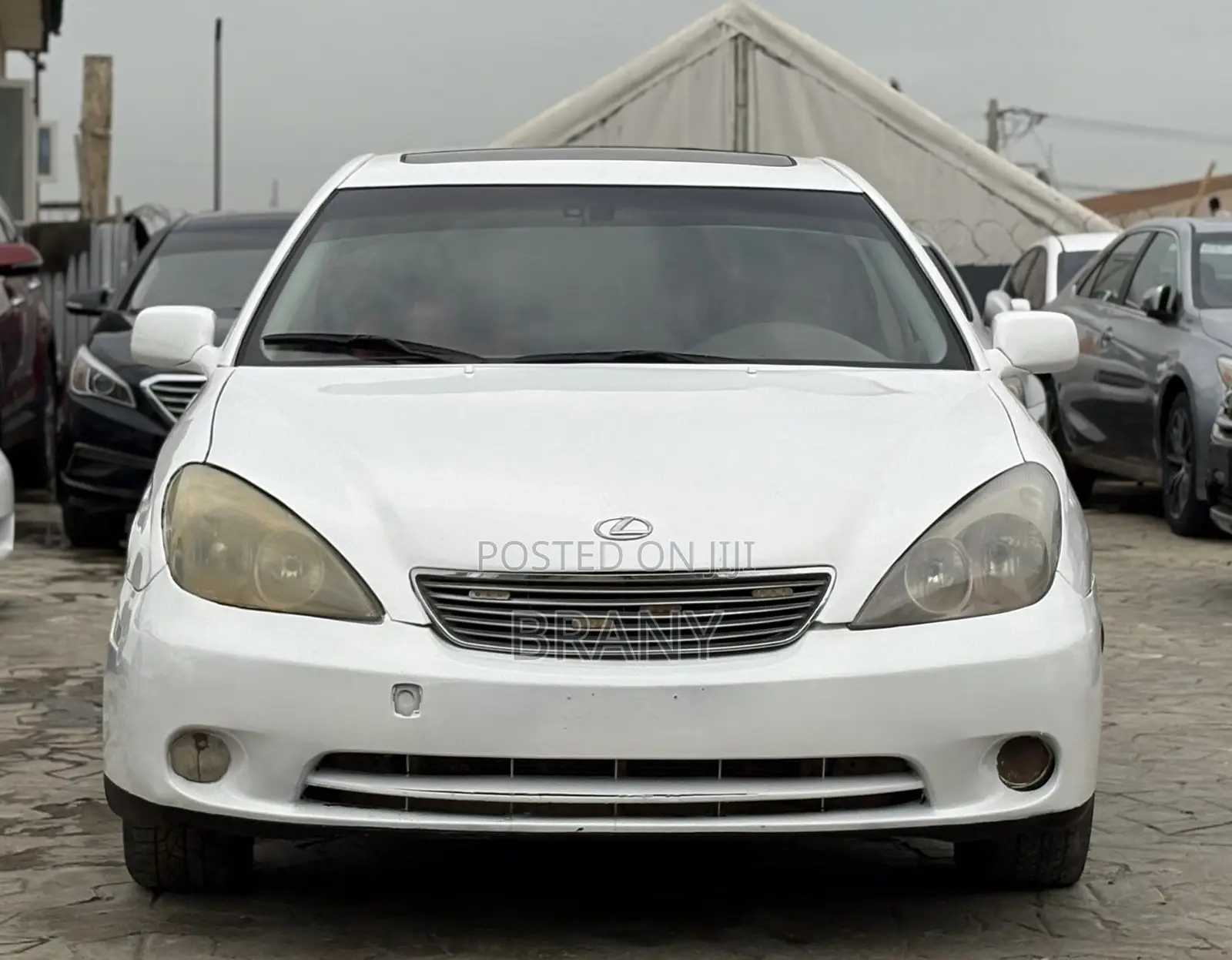 Lexus ES 330 Sedan 2004 White