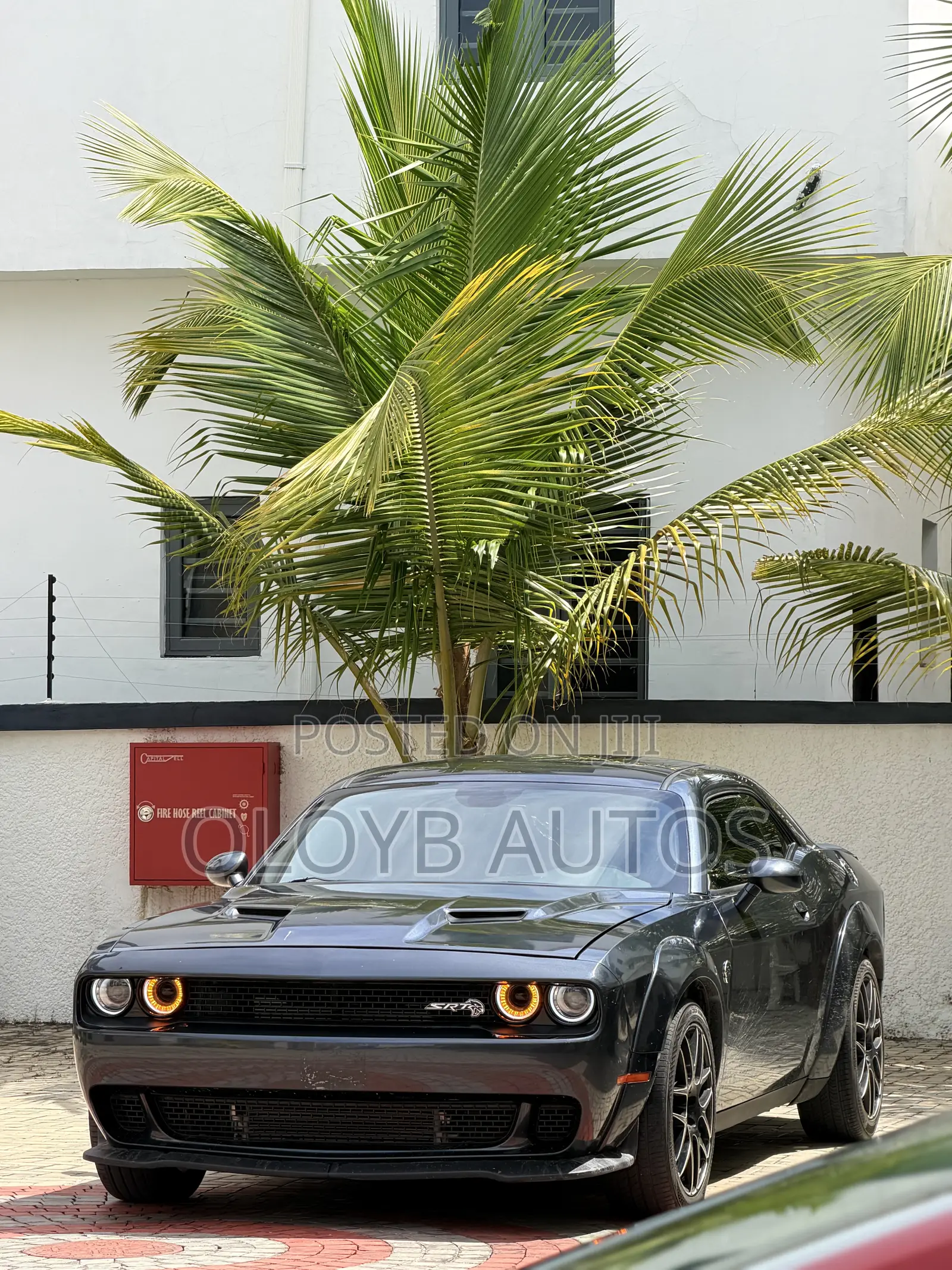 Dodge Challenger SXT AWD 2019 Gray
