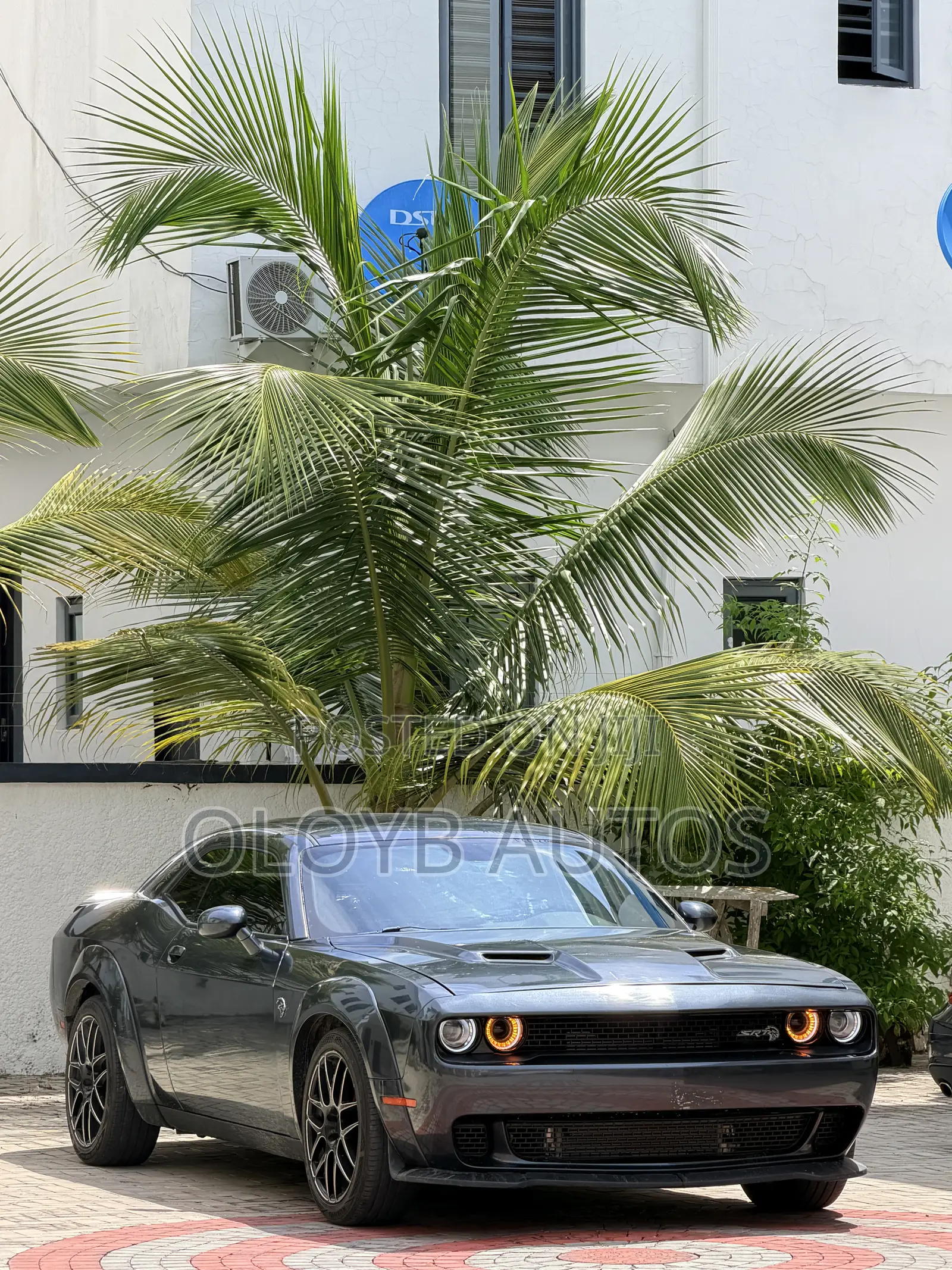 Dodge Challenger SXT AWD 2019 Gray