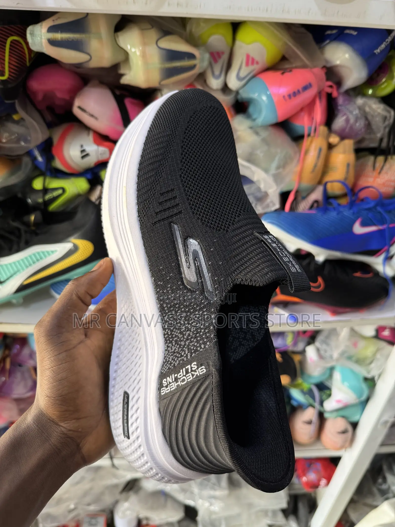 Skecher Canvass Shoe