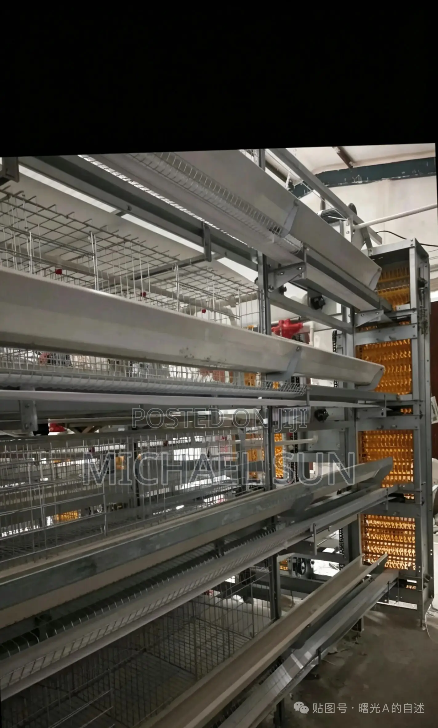 Poultry Farming Battery Cages Chicken Layer Farm