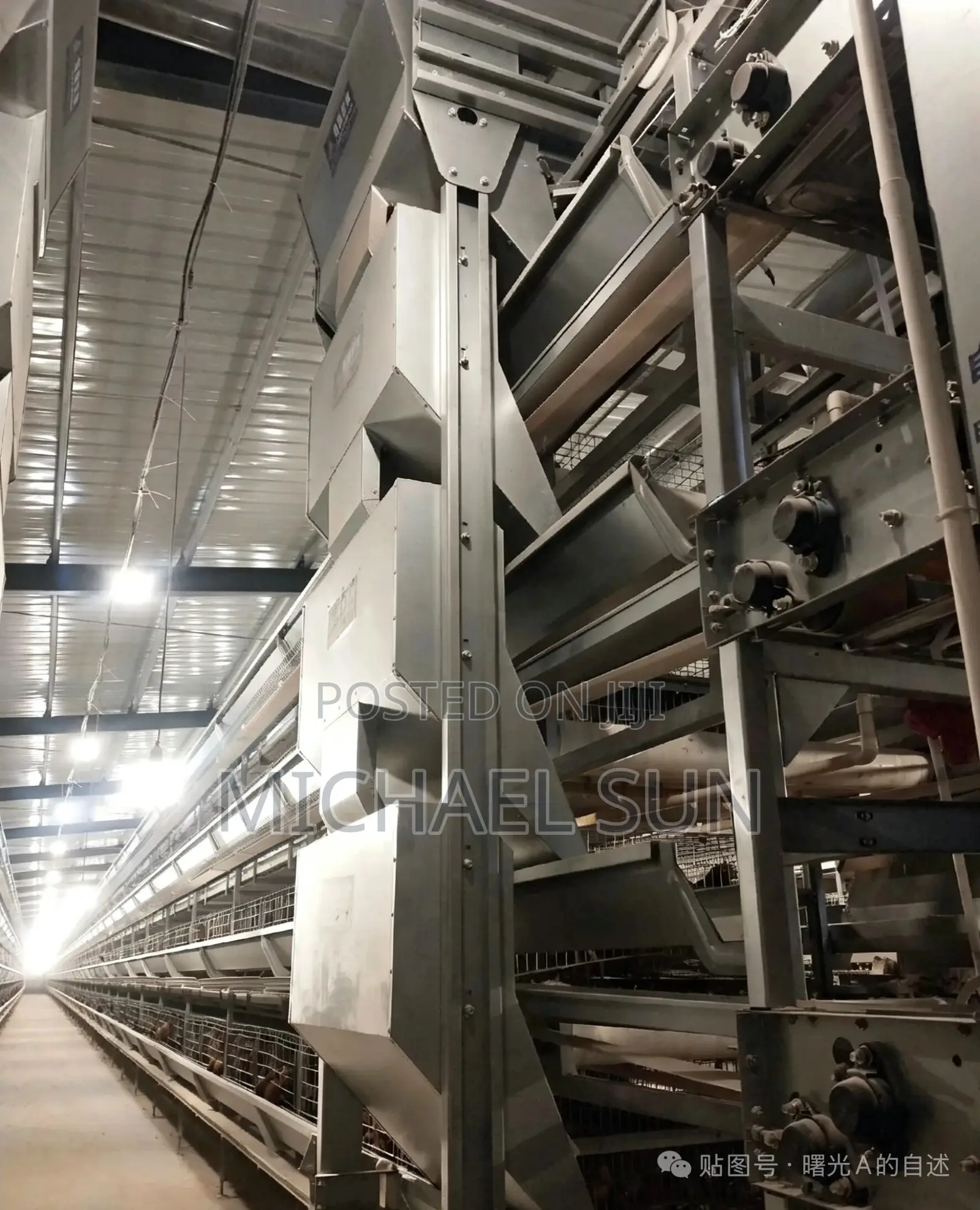 Poultry Farming Battery Cages Chicken Layer Farm