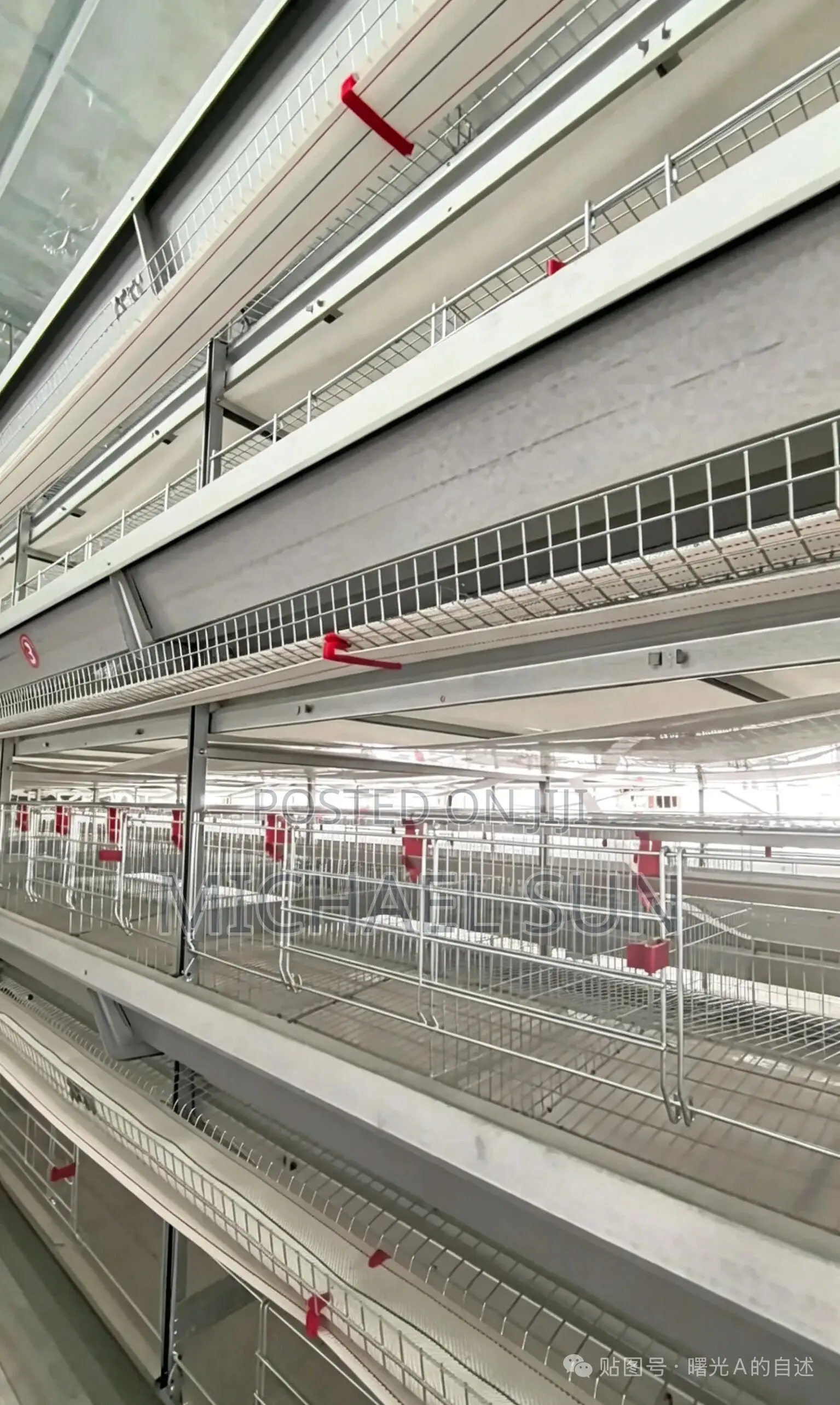 Poultry Farming Battery Cages Chicken Layer Farm