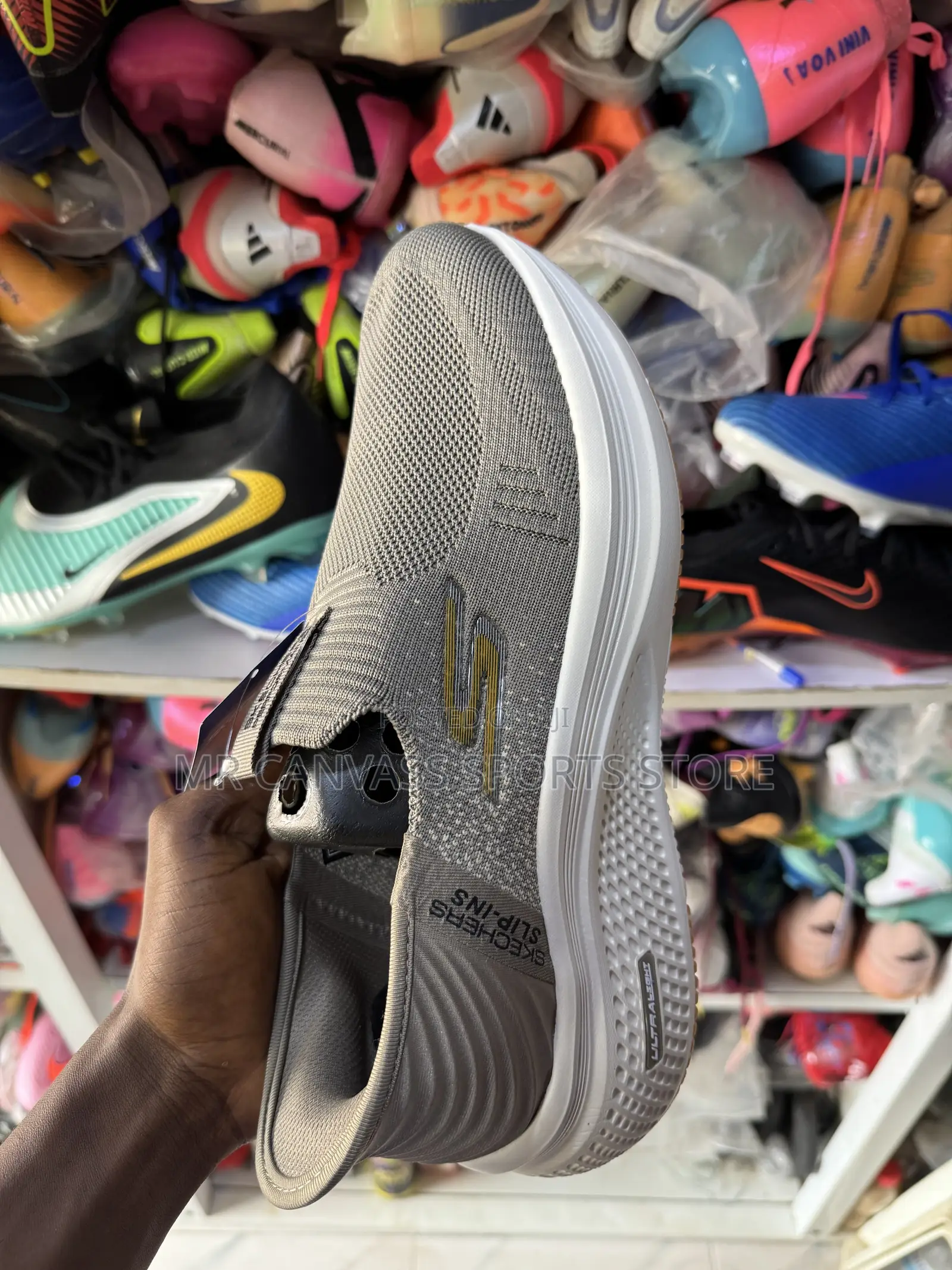 Skecher Canvass Shoe