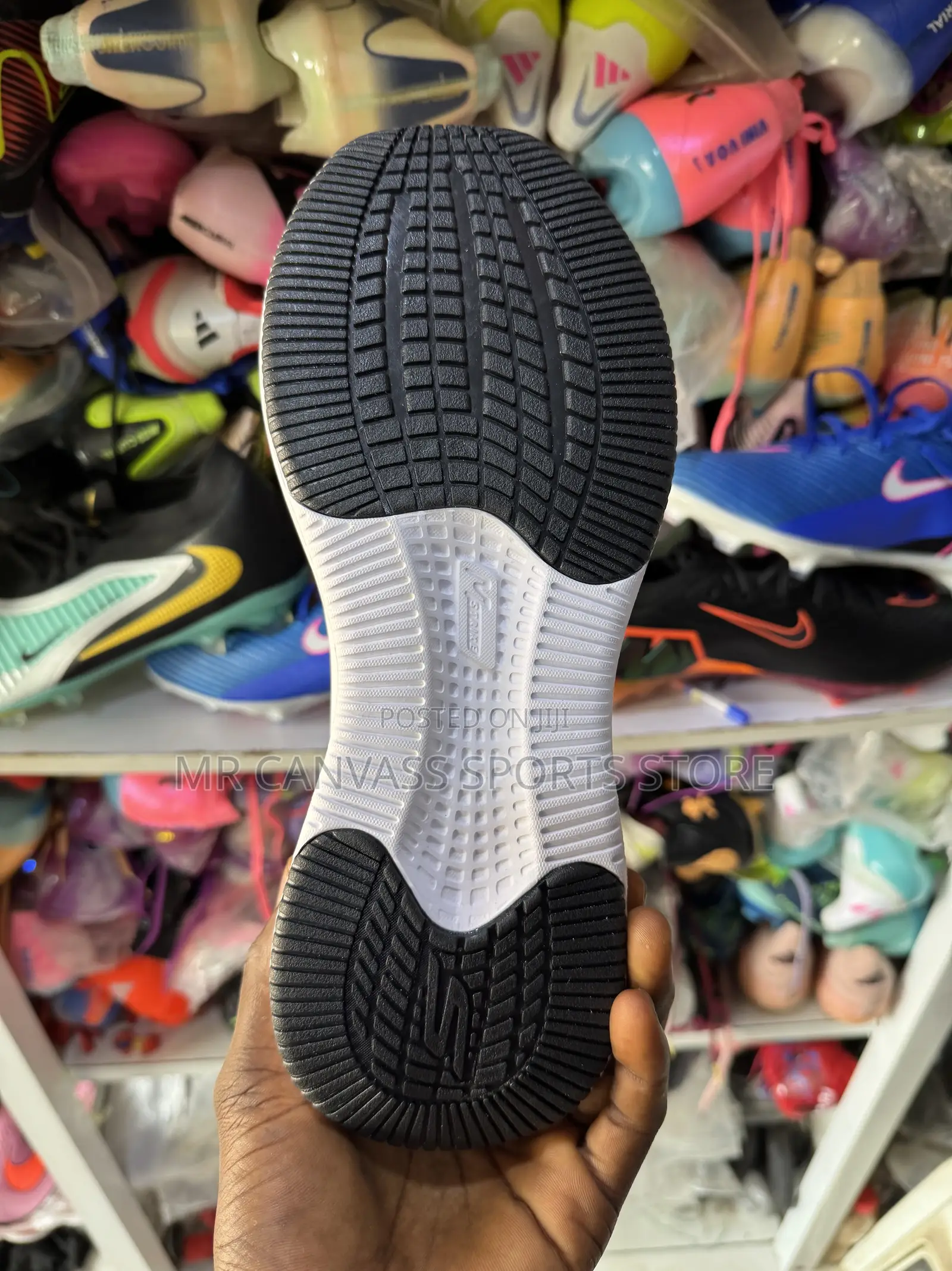 Skecher Canvass Shoe