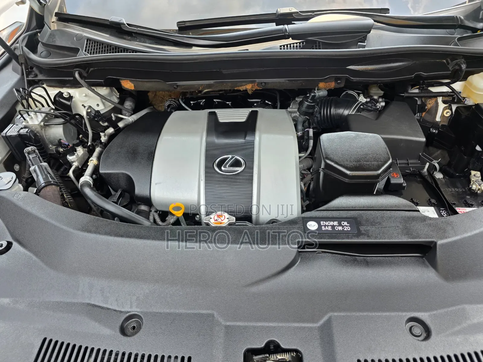 Lexus RX 2020 White