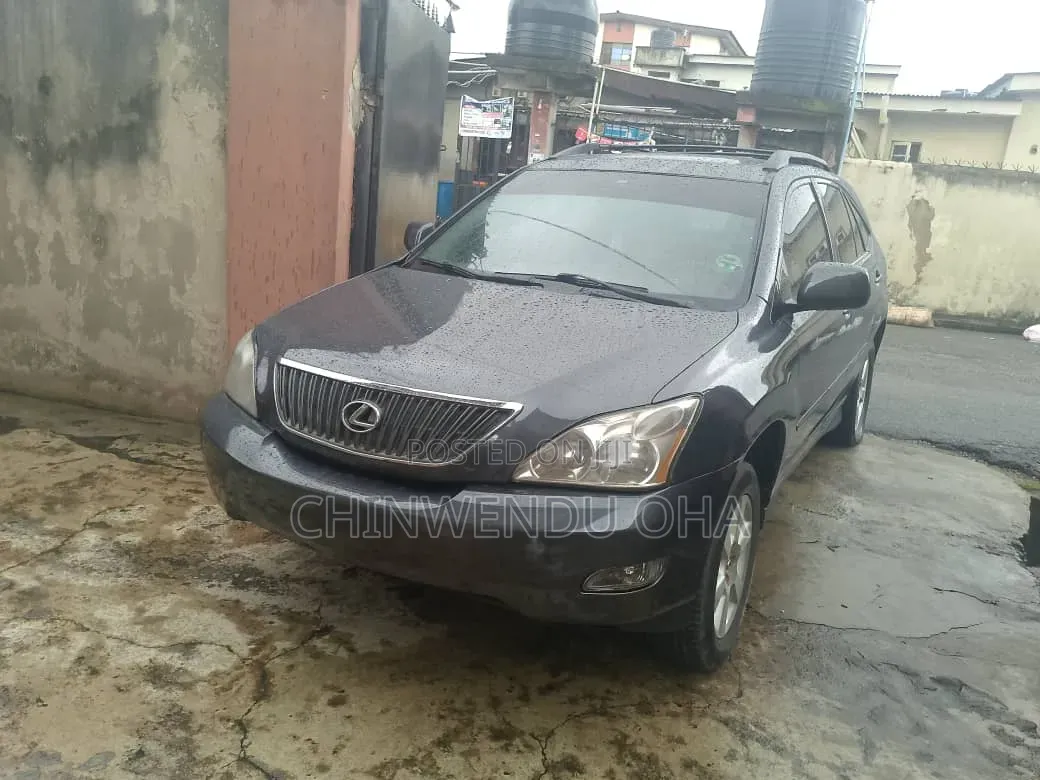 Lexus RX 2005 Gray