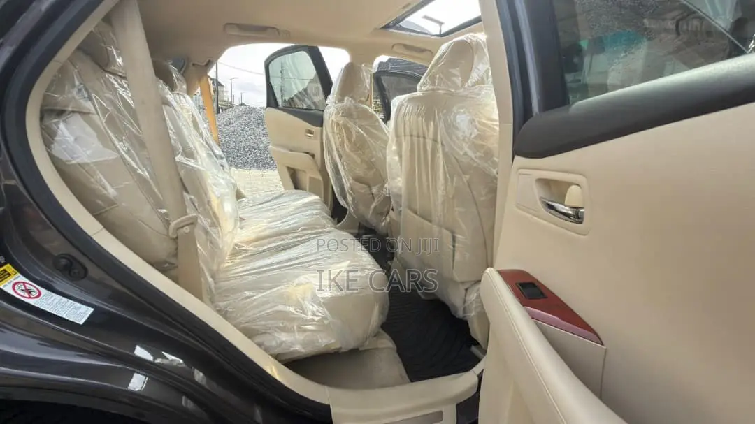 Lexus RX 350 2010 Brown