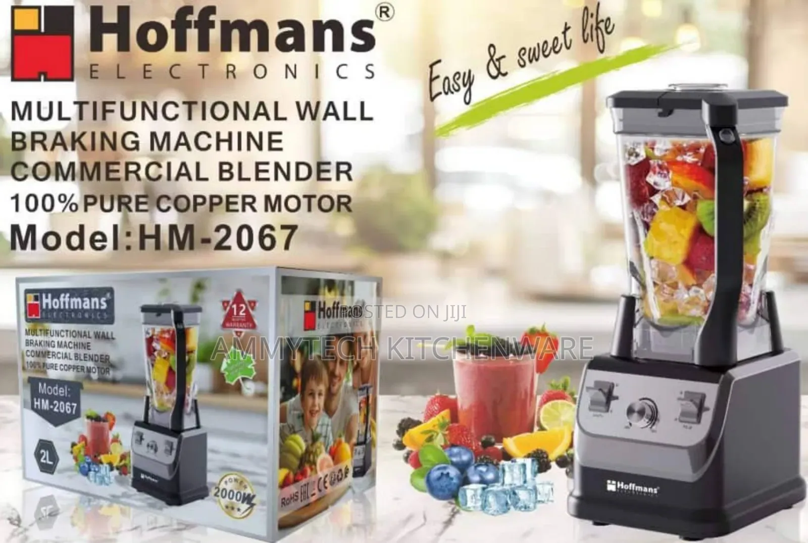Hoffman Multifunctional Wall Breaking Commercial Blender