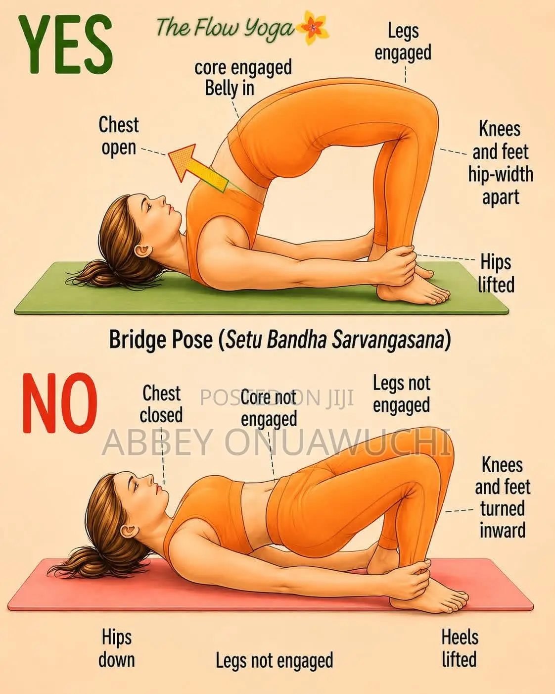 Core, Arms, Hip, Thigh Stretches