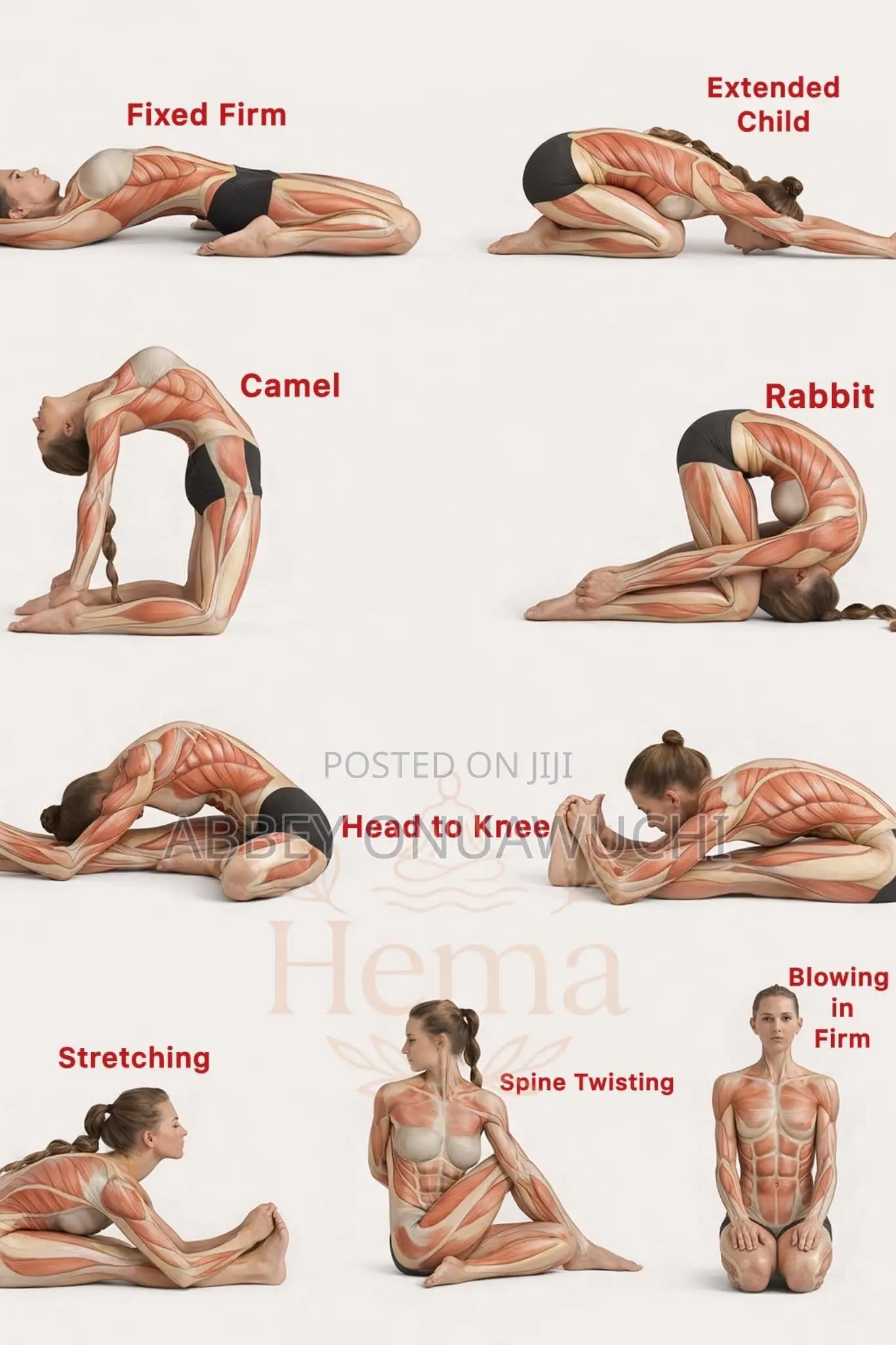 Core, Arms, Hip, Thigh Stretches