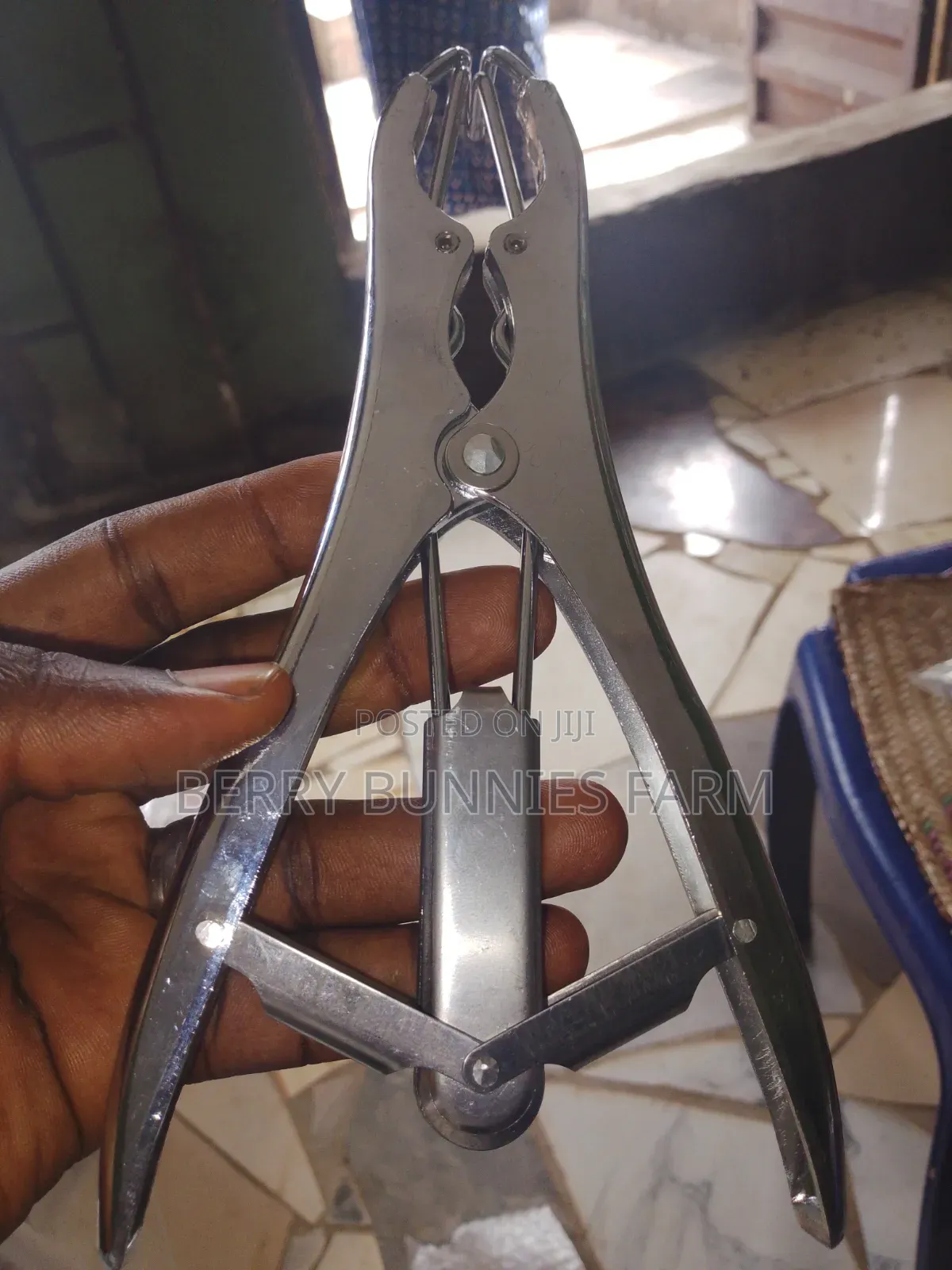 Band Castrator Type1