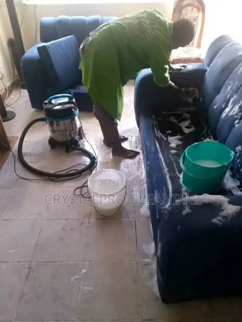 Couch/Sofa, Rug Upholstery Cleaning