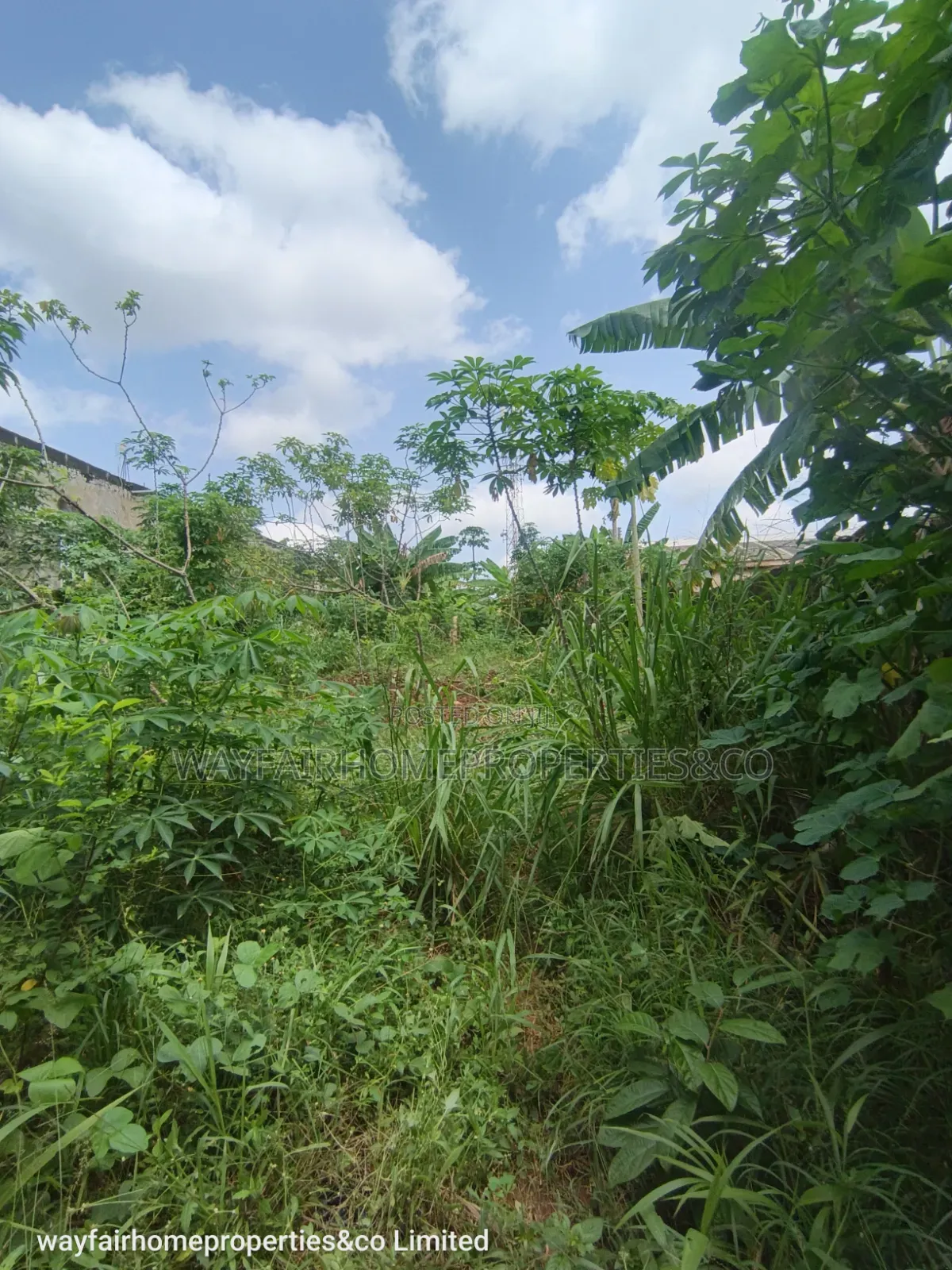 Property for Sale in Ayobo