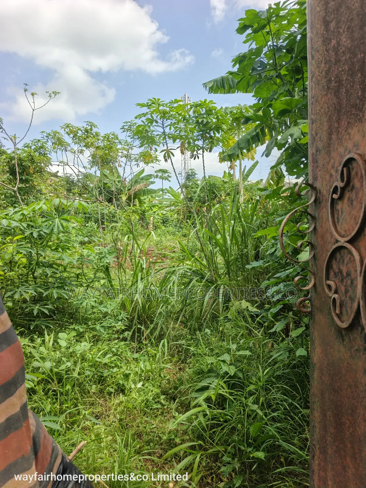Property for Sale in Ayobo
