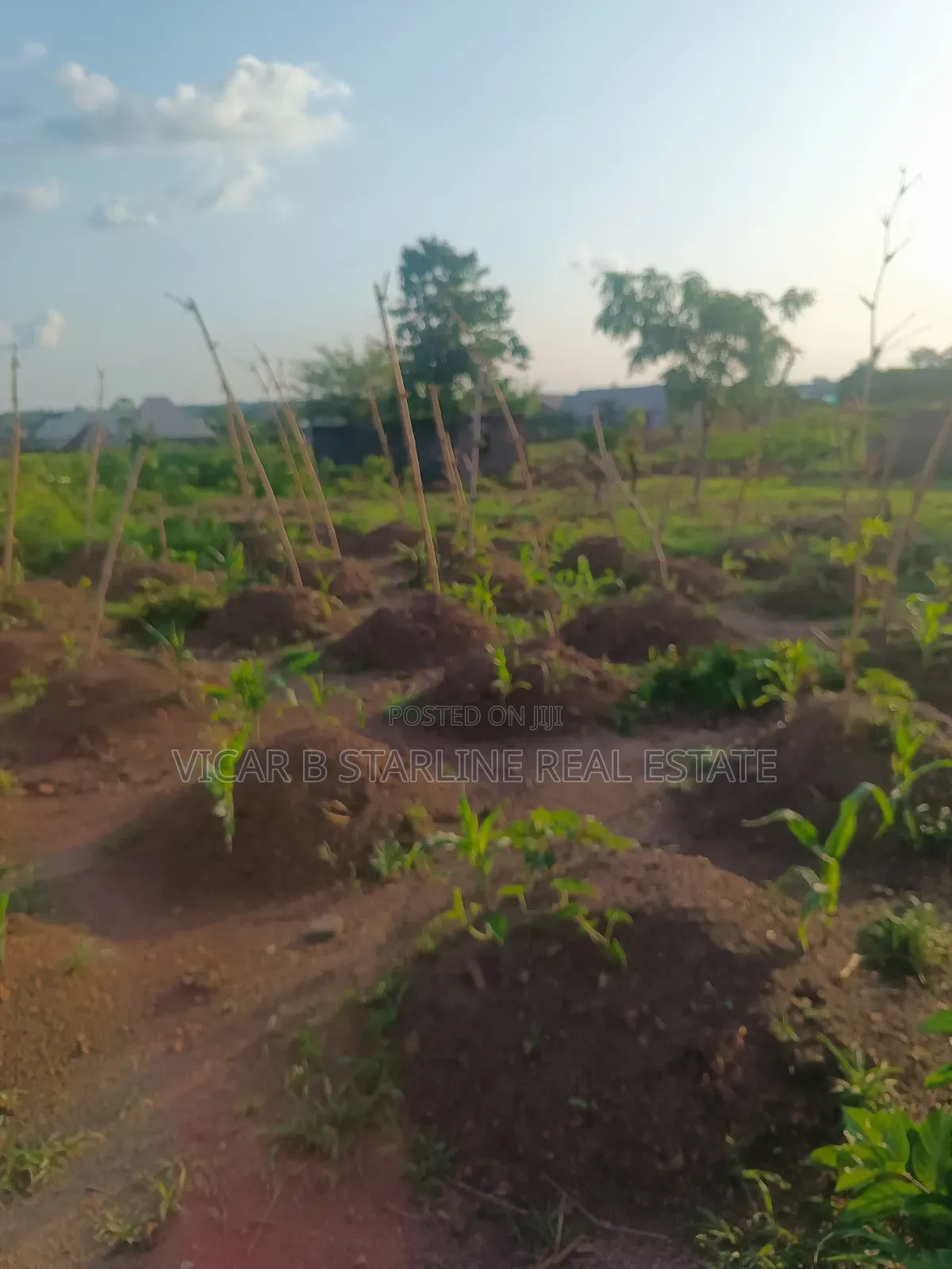 A Plot of Land for Sale