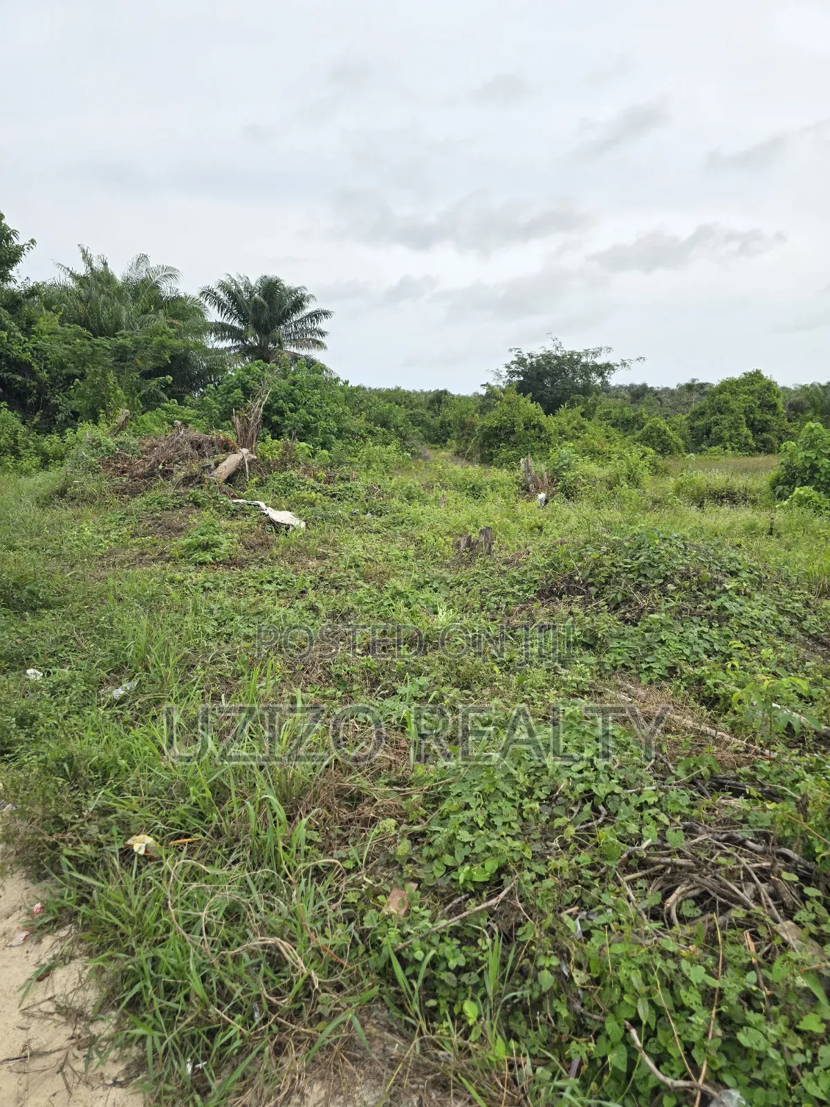Corner Piece Dryland in Ajayi Apata