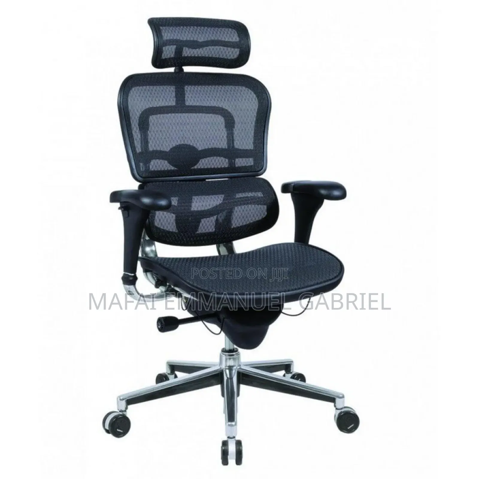 Orthopedic Ergo Human Chair
