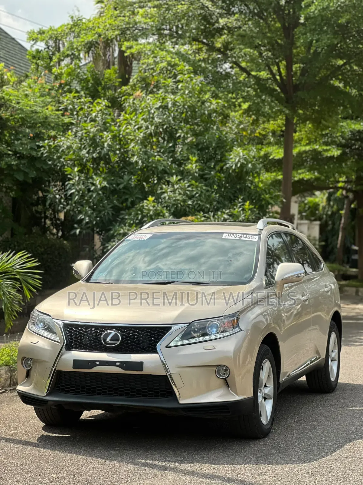 Lexus RX 2011 Gold