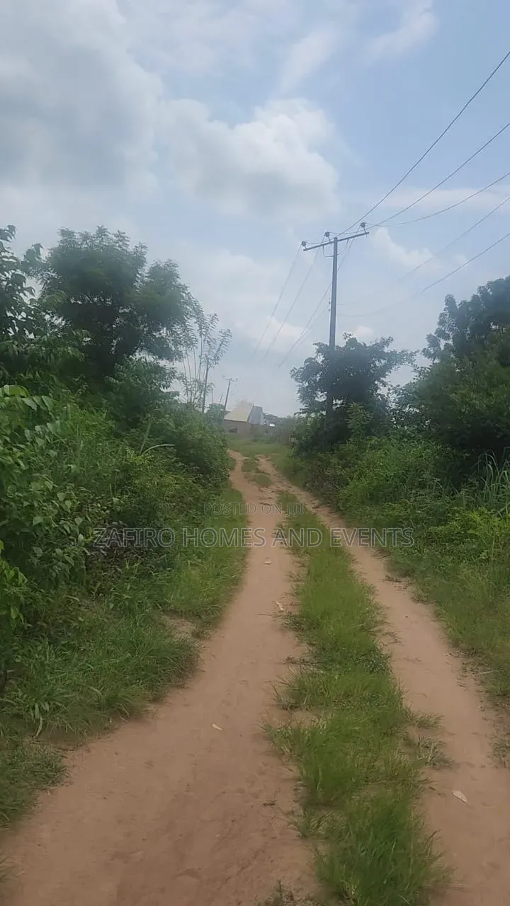 17 Plots of Land at Coca-Cola Bus Stop,Adeyemi Street,Asejire Area
