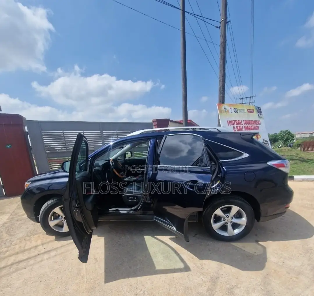 Lexus RX 2010 Blue