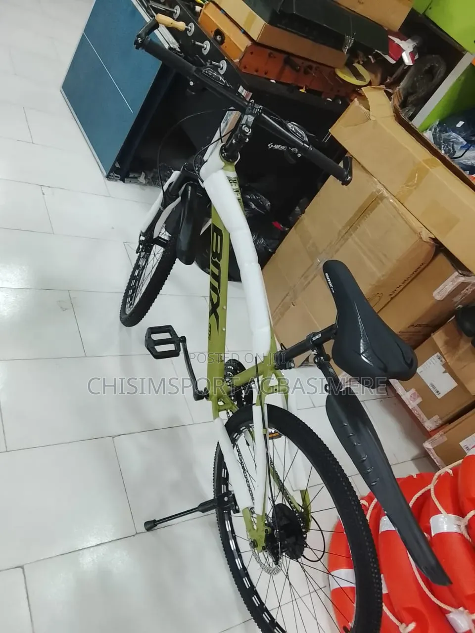 Adult Bicycle