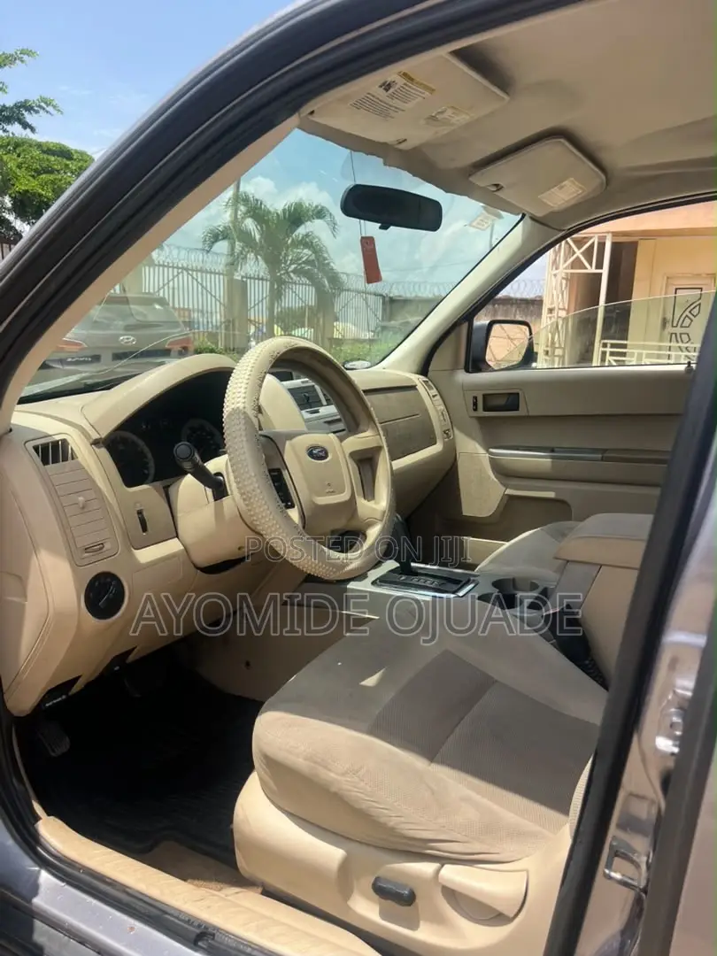 Ford Escape 2010 Gray