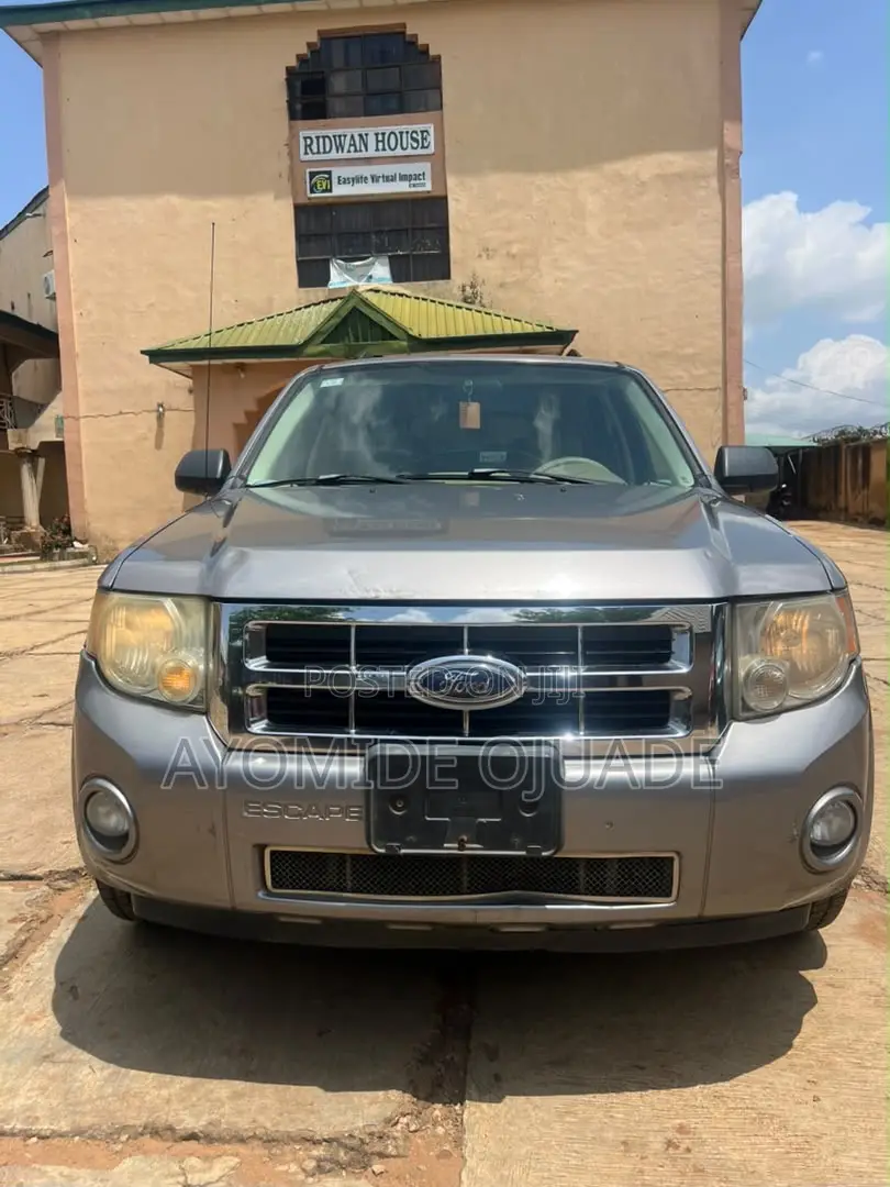 Ford Escape 2010 Gray