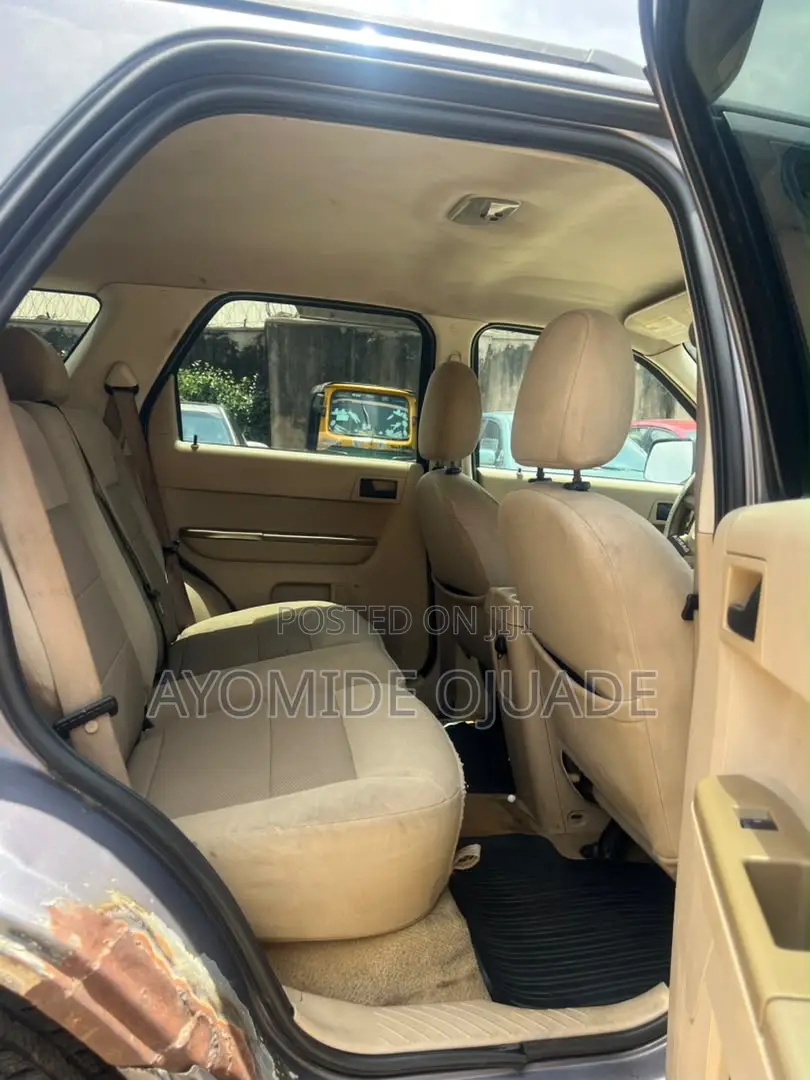 Ford Escape 2010 Gray