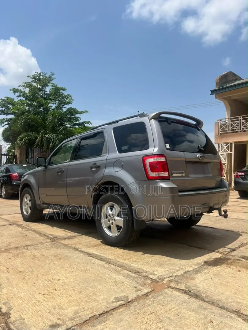 Ford Escape 2010 Gray