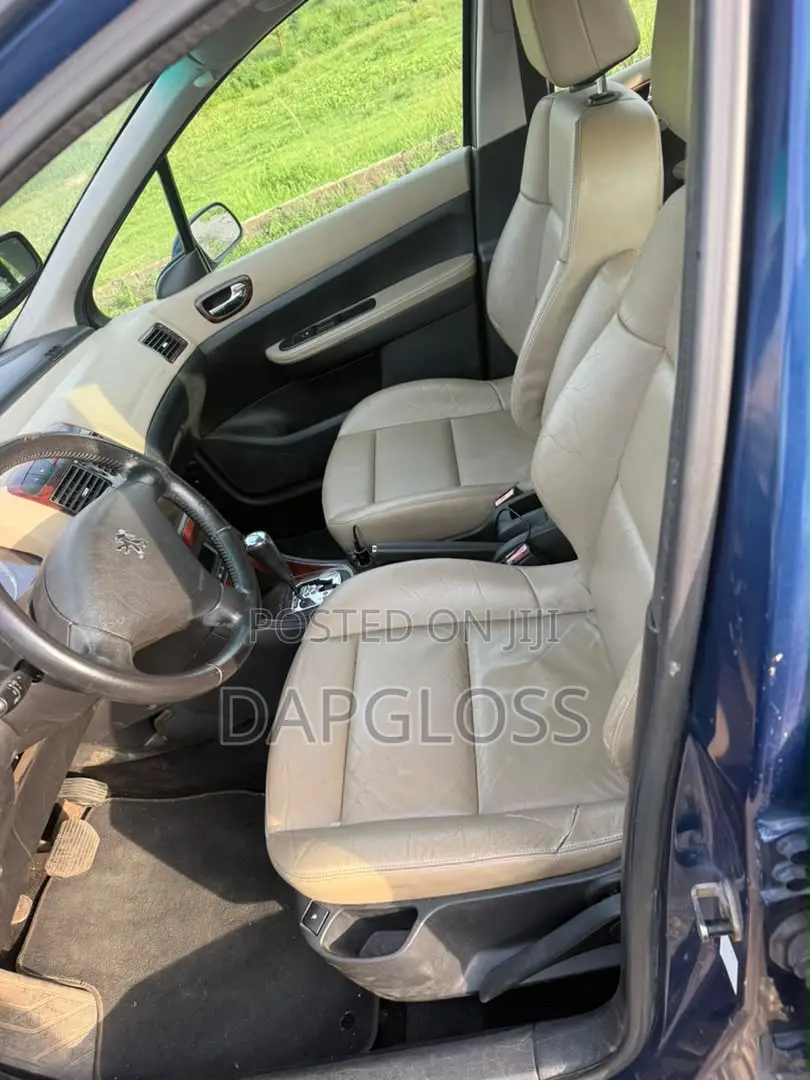 Peugeot 307 2007 Blue