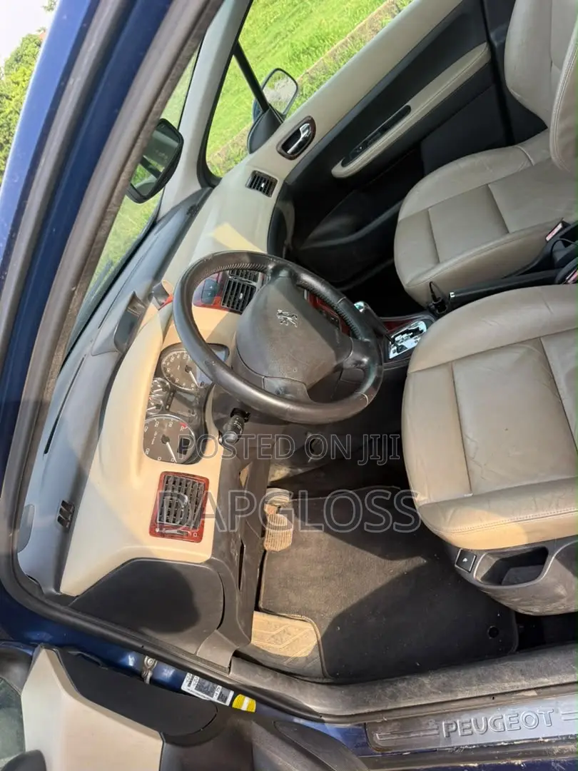Peugeot 307 2007 Blue
