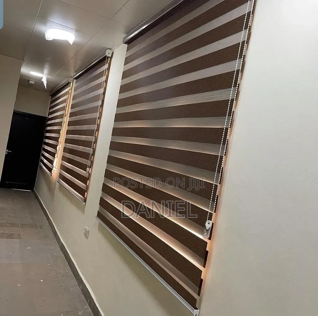 Day and Night Window Blinds