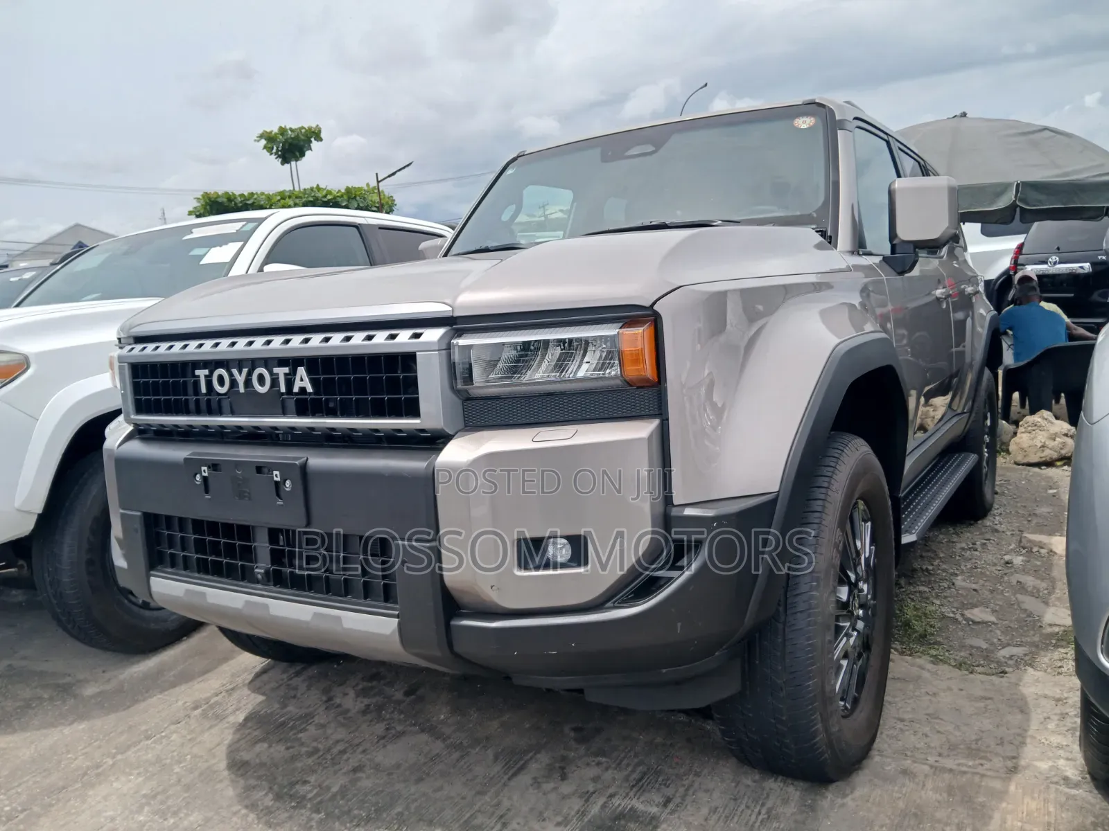 Toyota Land Cruiser 2024 Gray