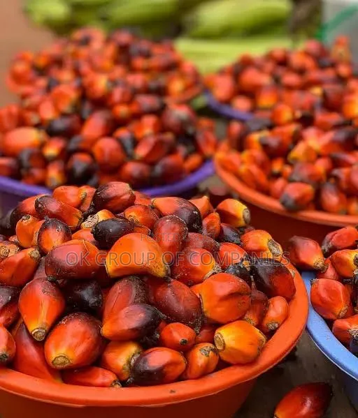 Foods Commodities Suppliers and Exporters From Nigeria