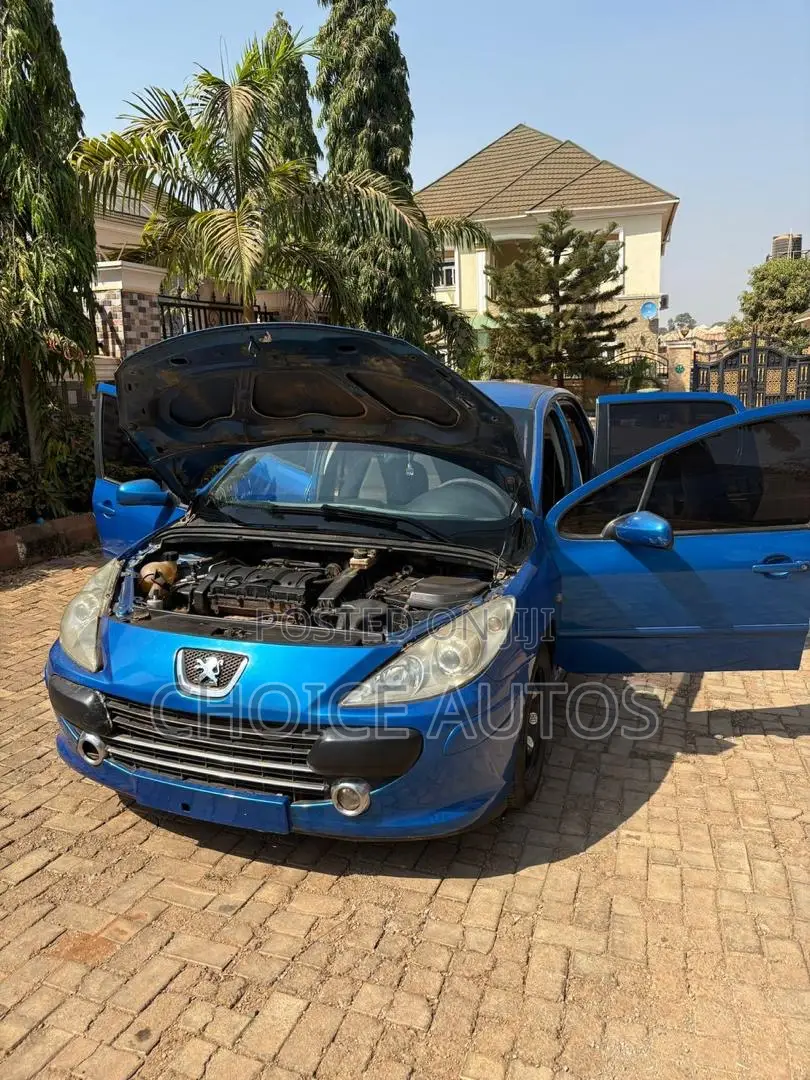 Peugeot 307 2008 Blue