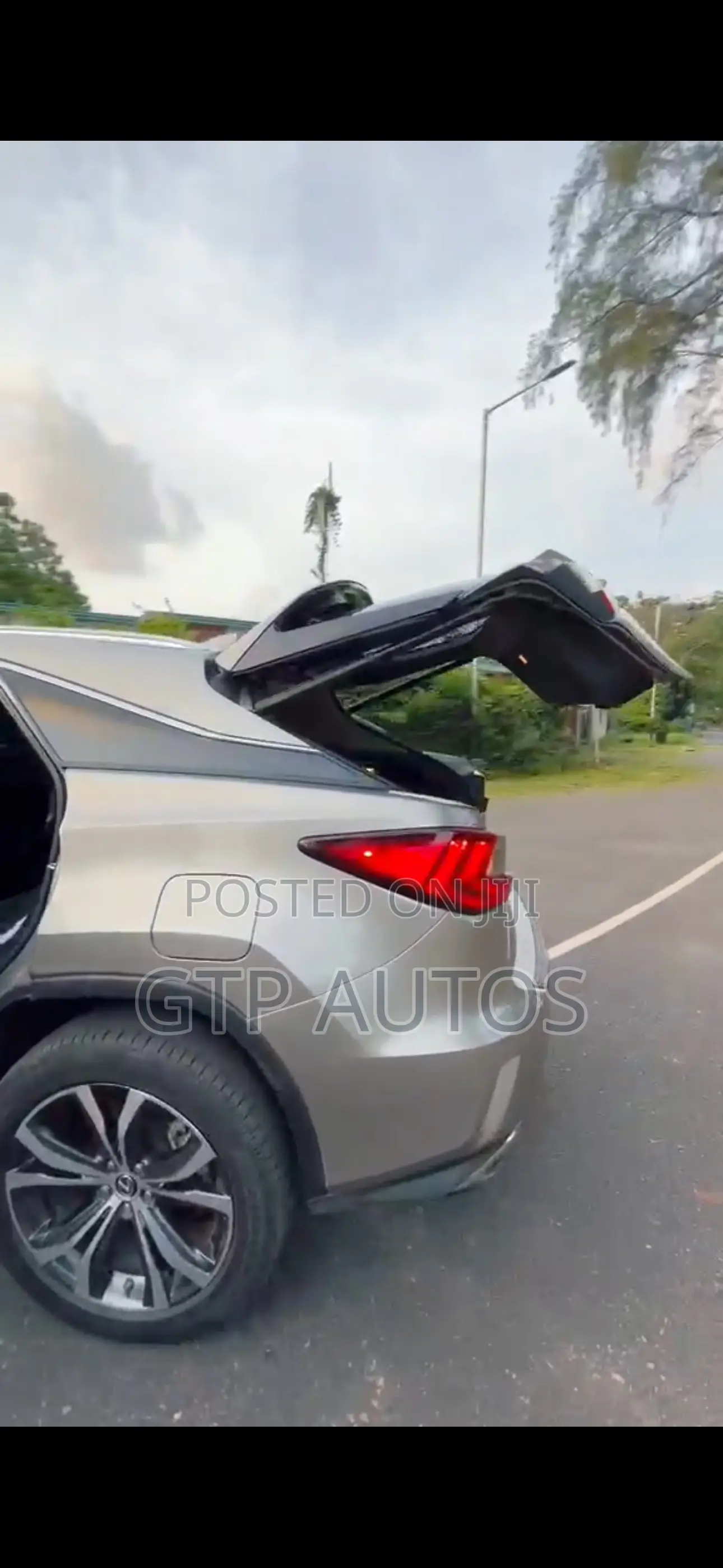 Lexus RX 2019 Gray