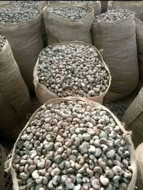 Agro Commodities Suppliers and Exporters From Nigeria
