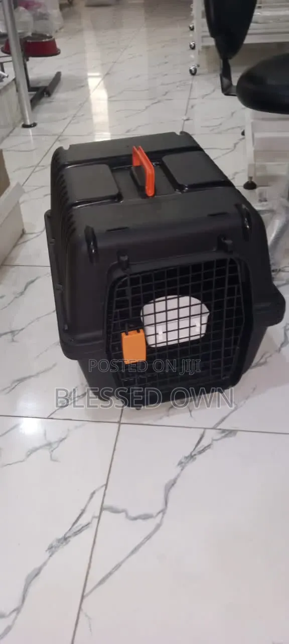 Carrier for Dog, Cats, Birds Are Available From Size 1 to 6
