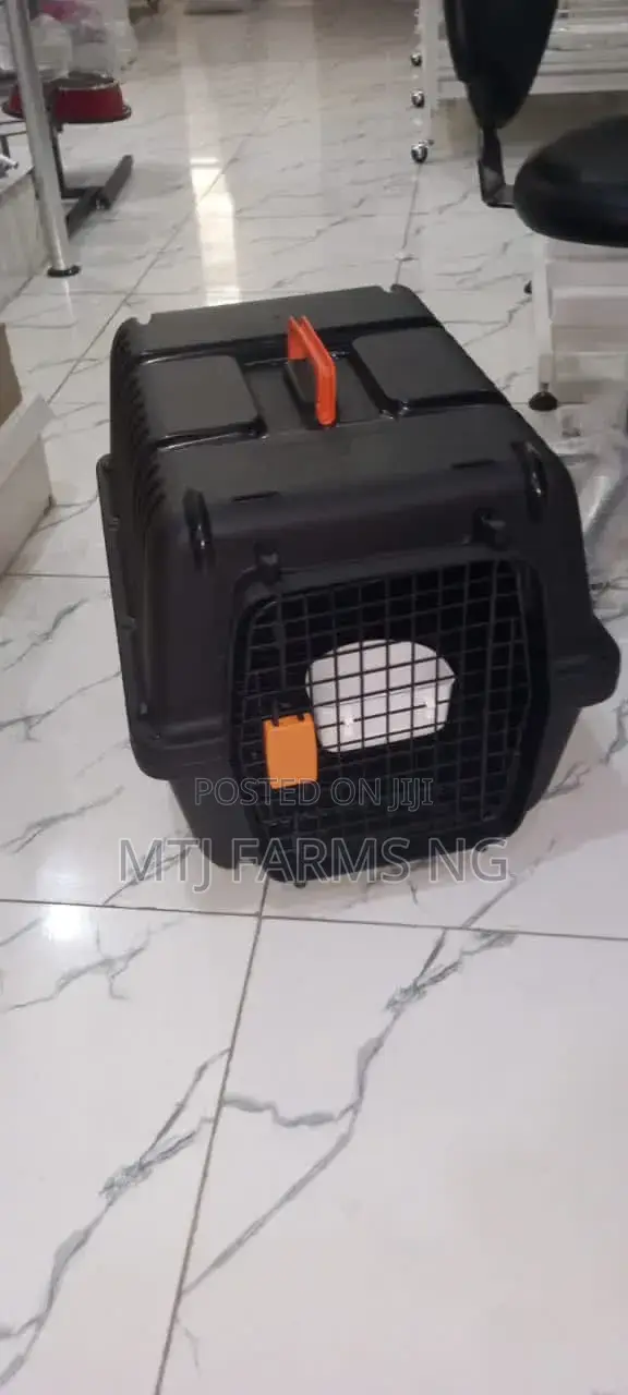 Carrier for Dog, Cats, Birds Are Available From Size 1 to 6