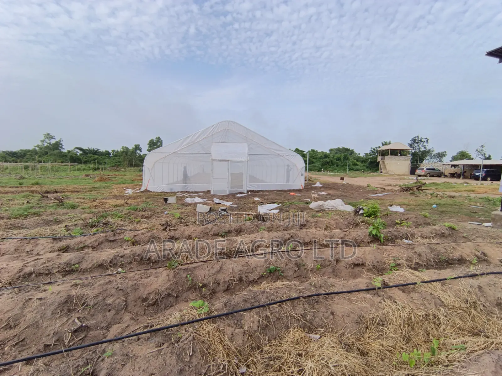 400sqm Greenhouse (Solarig/Uv Cover and Insect Net by the Side).