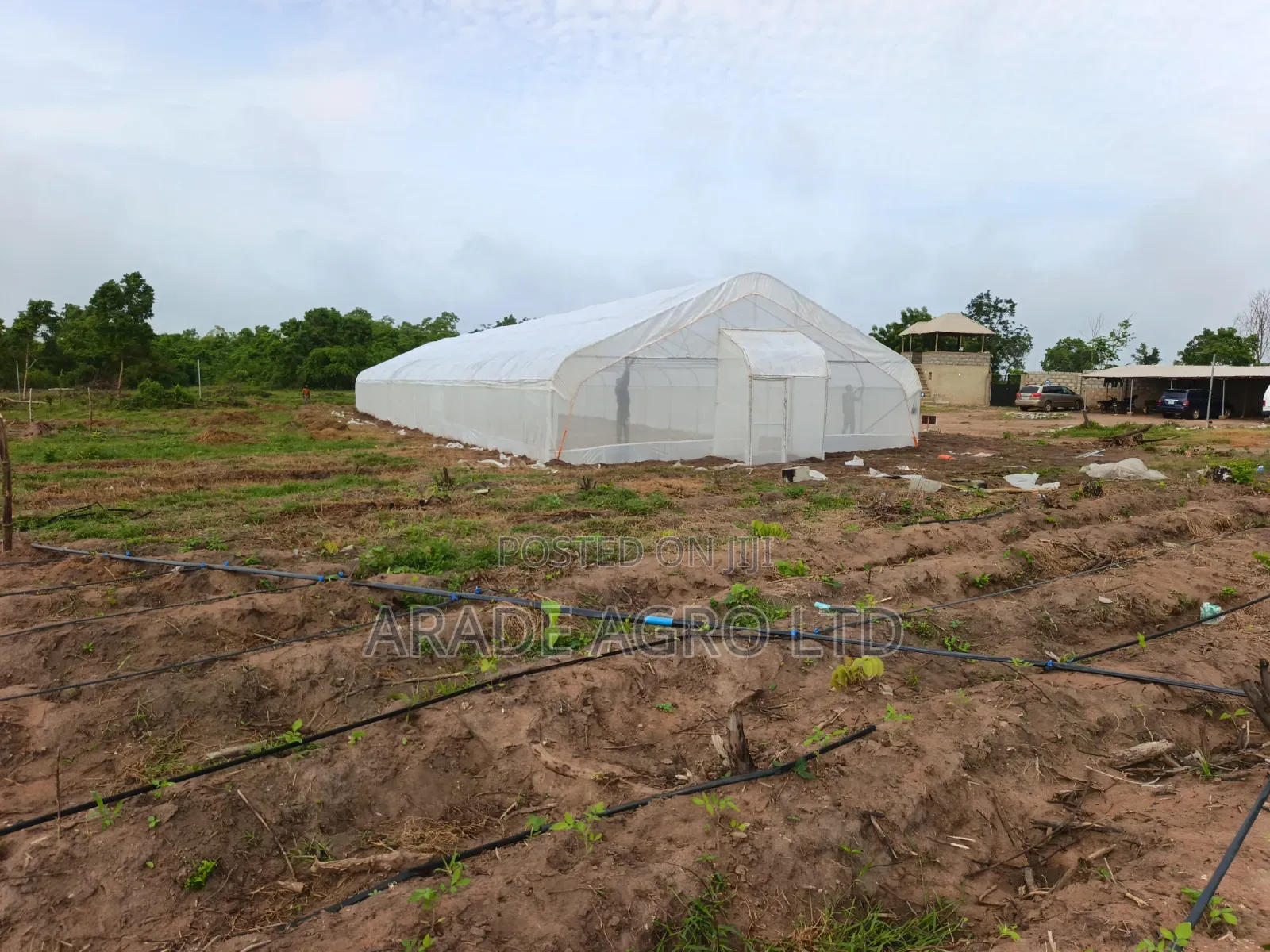 400sqm Greenhouse (Solarig/Uv Cover and Insect Net by the Side).