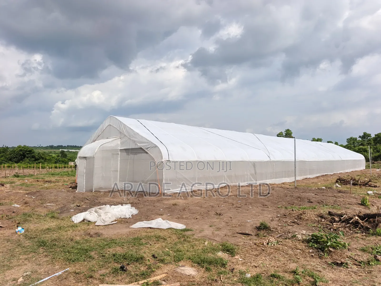 400sqm Greenhouse (Solarig/Uv Cover and Insect Net by the Side).