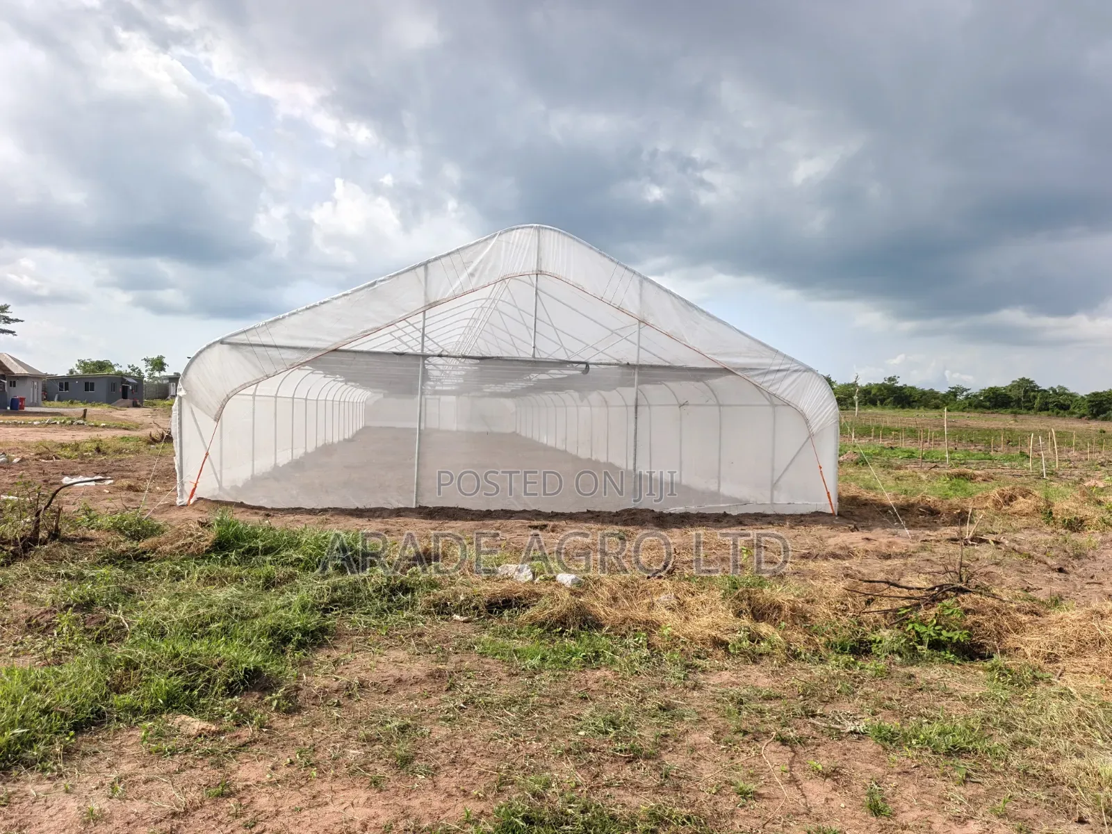 400sqm Greenhouse (Solarig/Uv Cover and Insect Net by the Side).