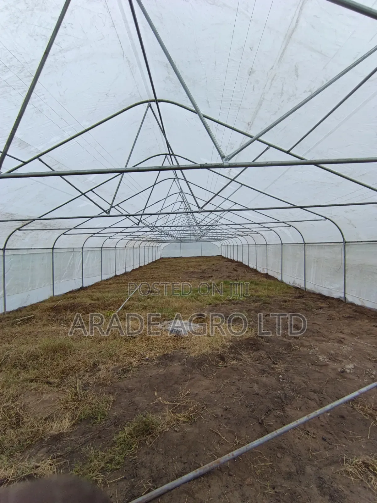400sqm Greenhouse (Solarig/Uv Cover and Insect Net by the Side).