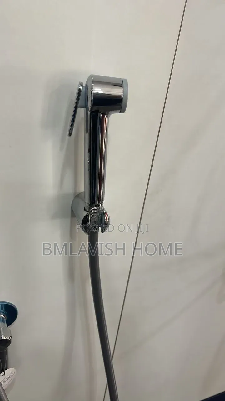 Grohe Bidet Sprayer Silver
