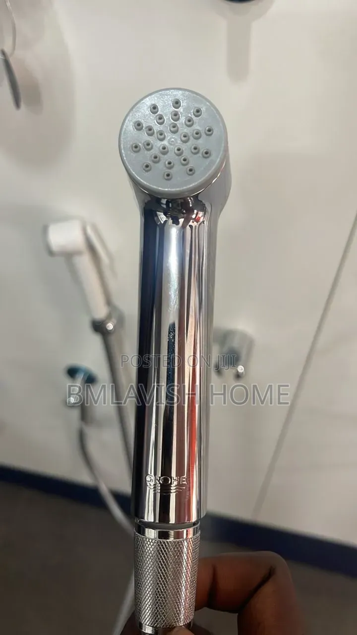 Grohe Bidet Sprayer Silver