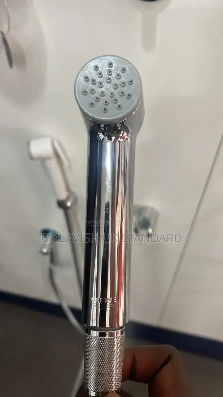 Grohe Bidet Sprayer Silver