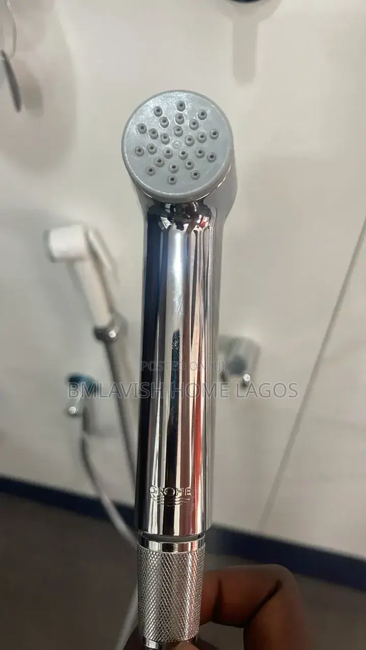 Grohe Bidet Sprayer Silver